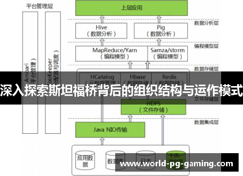 深入探索斯坦福桥背后的组织结构与运作模式 深入探索斯坦福桥背后的组织结构与运作模式